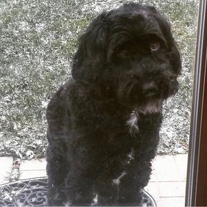 Meet your Posher, Gabriella